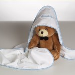 Personalized Hooded Towel & Plush Bear Baby Boy Gift