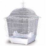 Elegant Scrollwork Bird Cage - White