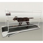 PetRun PR730 Dog Treadmill